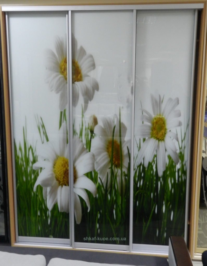 Шкафы-купе с фотопечатью